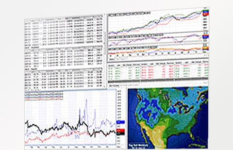 FutureSource JAVA Web Trading Platform - AMP Futures